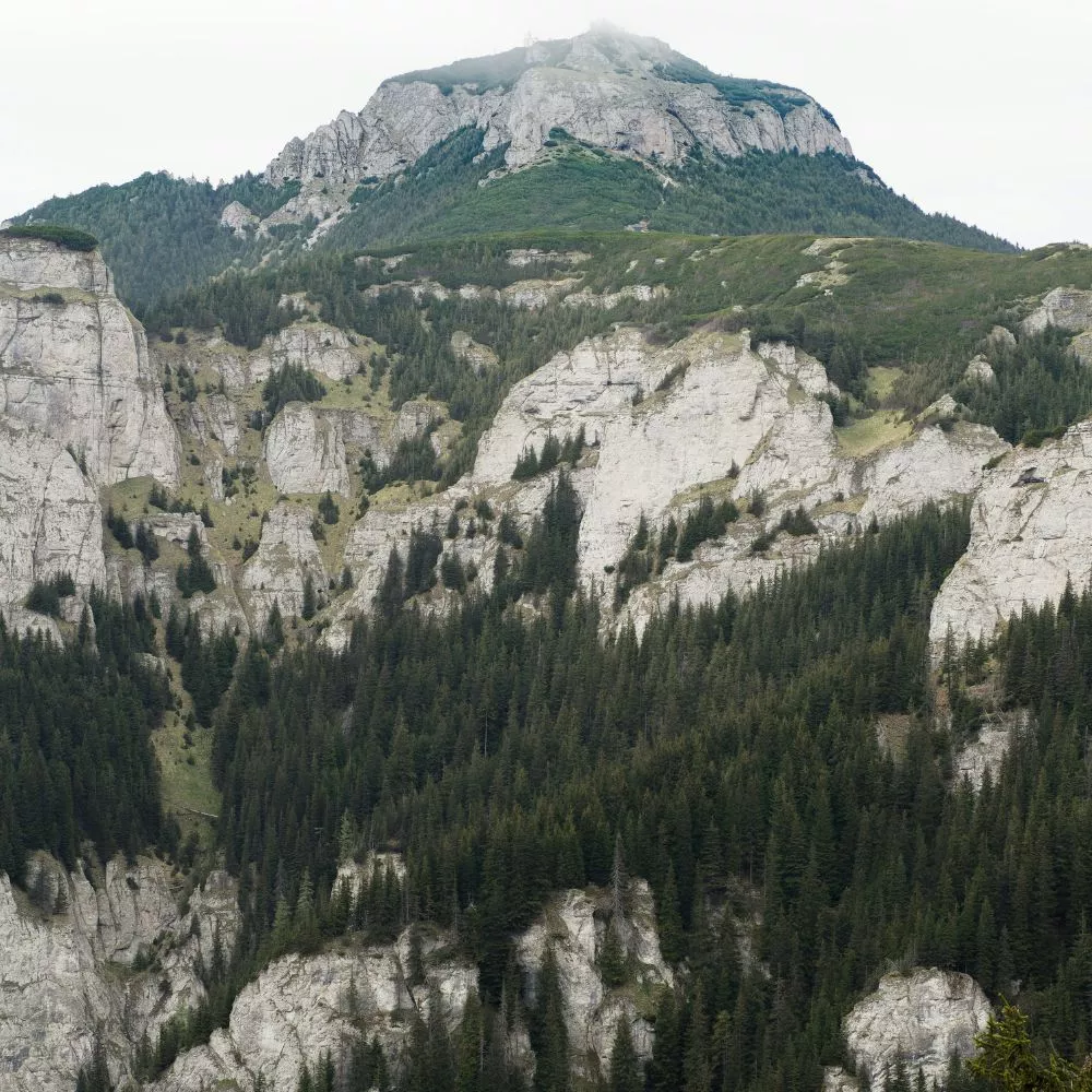 Paysage rocheux du Mullerthal avec sentiers